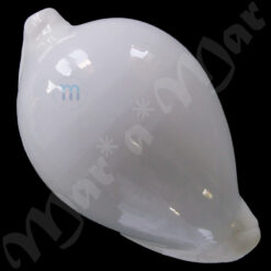 Alternative view of Ovula ovum (Linnaeus, 1758)